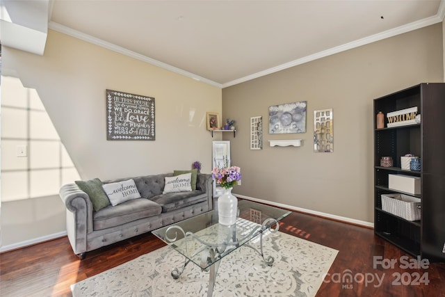 living room featuring crown molding and dark wood-type flooring