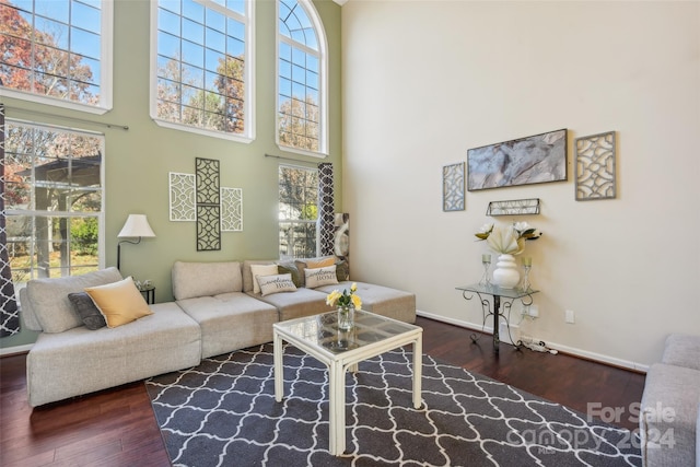 living room with a towering ceiling, dark hardwood / wood-style floors, and a wealth of natural light