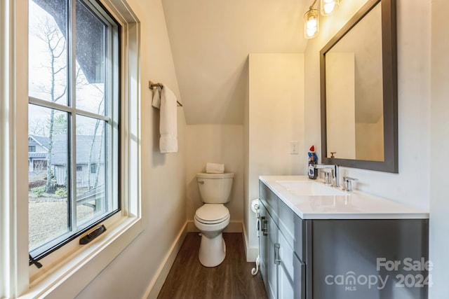 bathroom featuring vanity, wood-type flooring, and toilet