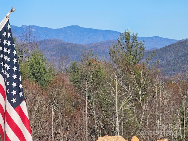 property view of mountains