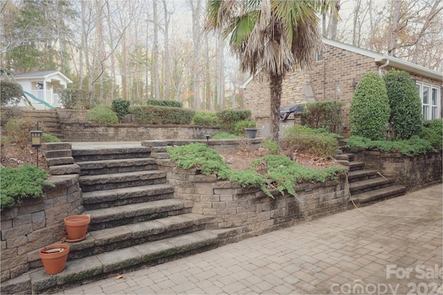 view of yard with a patio