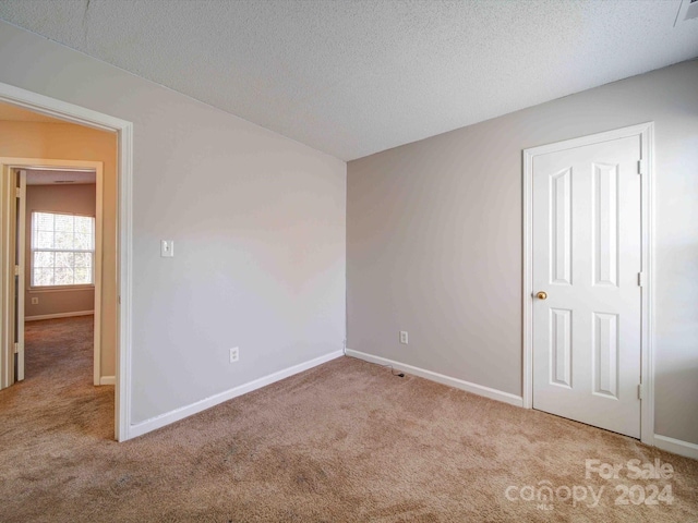 empty room featuring carpet flooring and a textured ceiling