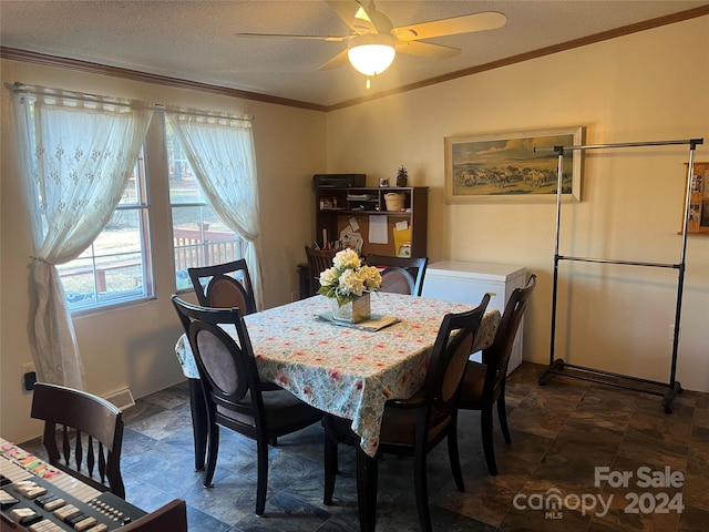 dining area featuring ceiling fan, ornamental molding, and a textured ceiling