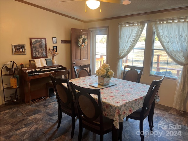 dining room with a wealth of natural light, crown molding, ceiling fan, and a textured ceiling