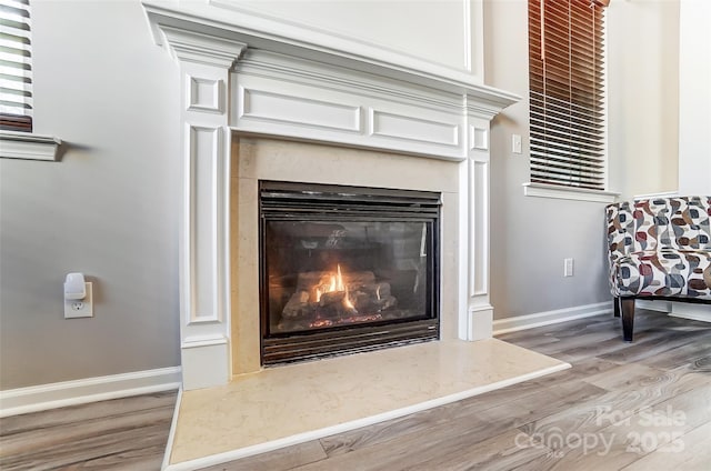 details featuring a fireplace and hardwood / wood-style floors