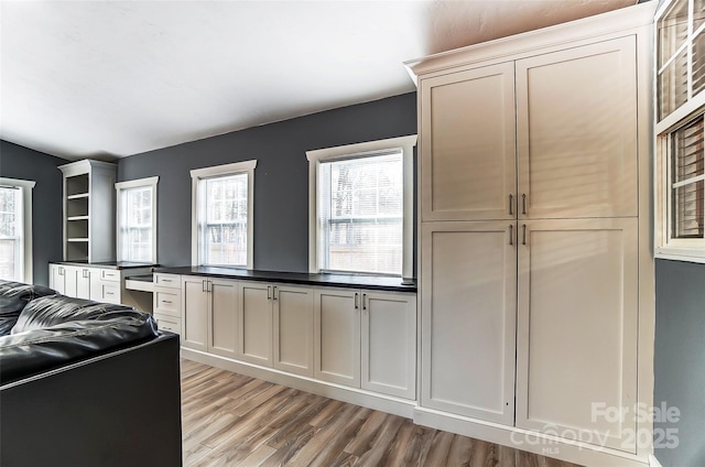 kitchen with light hardwood / wood-style floors