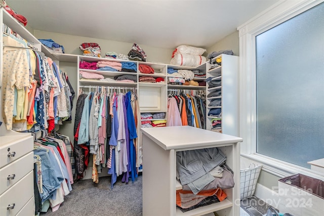 spacious closet featuring carpet