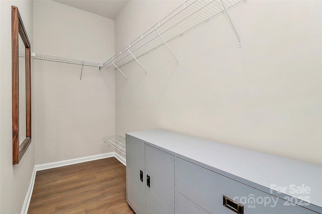 walk in closet featuring dark wood-type flooring