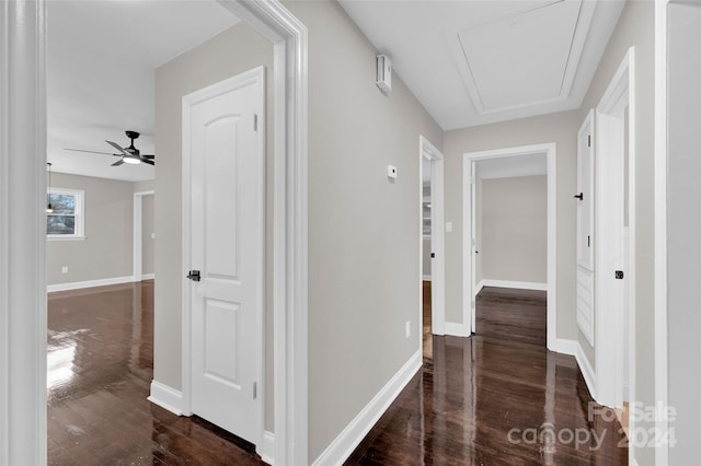 hall with dark hardwood / wood-style flooring