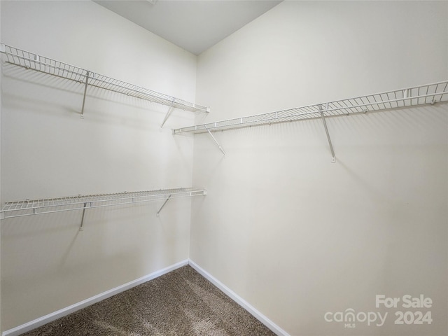 walk in closet featuring carpet