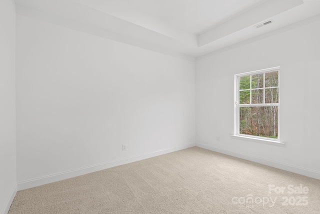 spare room with carpet floors and a tray ceiling