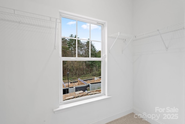 view of spacious closet