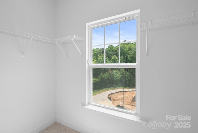 190 Cherry Springs Ln Unit 1-E, Asheville, NC 28804 - view of walk in closet