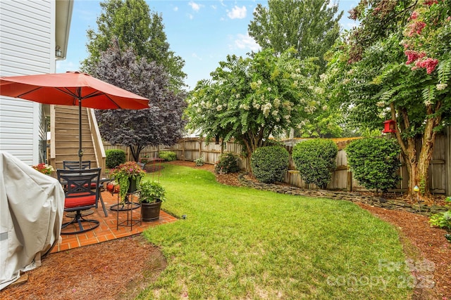 view of yard with a patio area