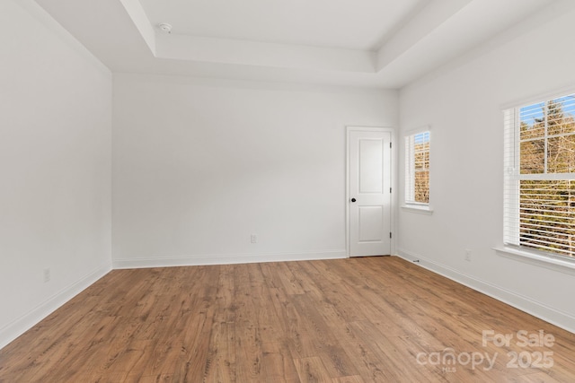 spare room with wood-type flooring and a tray ceiling