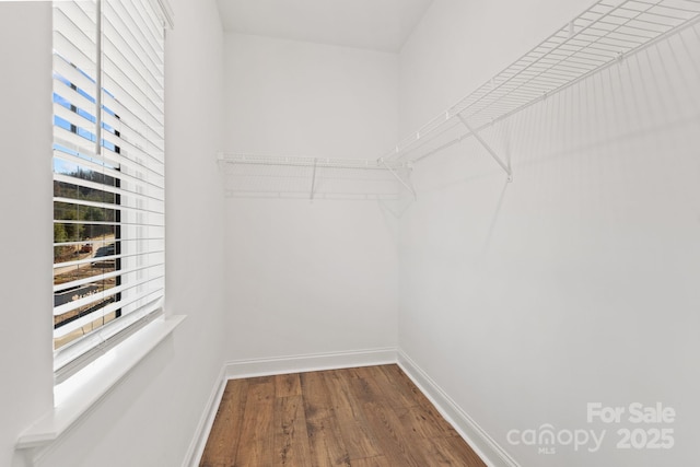 walk in closet with hardwood / wood-style flooring