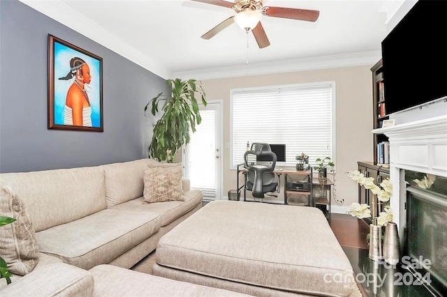 living room with hardwood / wood-style flooring, ceiling fan, and ornamental molding