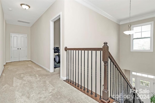 corridor featuring light colored carpet and crown molding