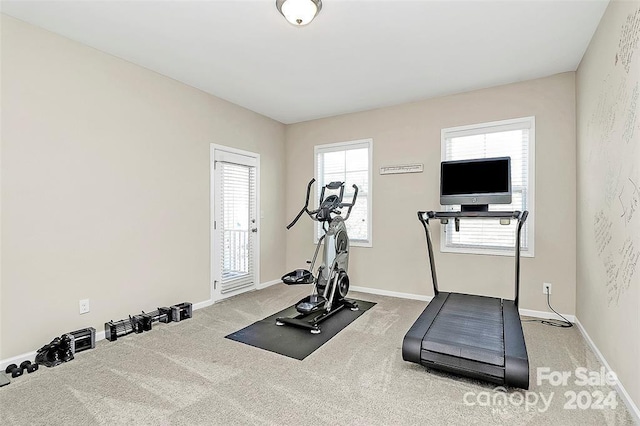 exercise area featuring carpet flooring