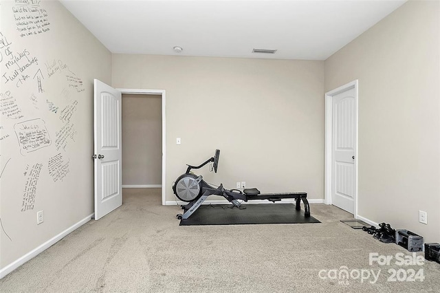 exercise area with carpet floors