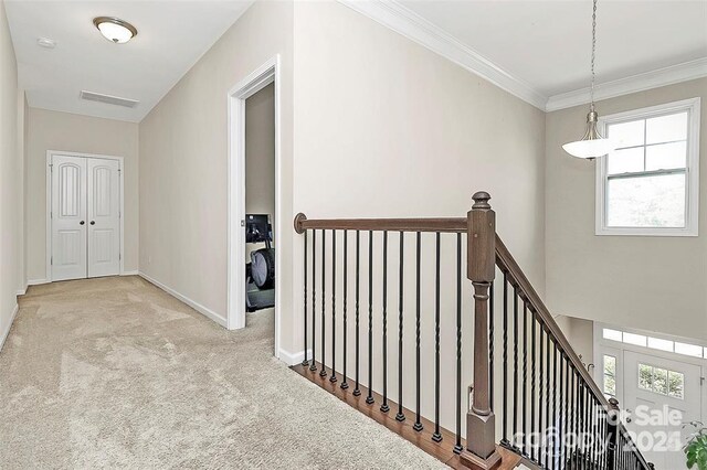 4146 La Crema Dr, Charlotte, NC 28214 - photo 24