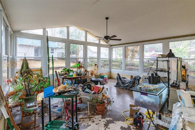 sunroom / solarium with plenty of natural light, lofted ceiling, and ceiling fan