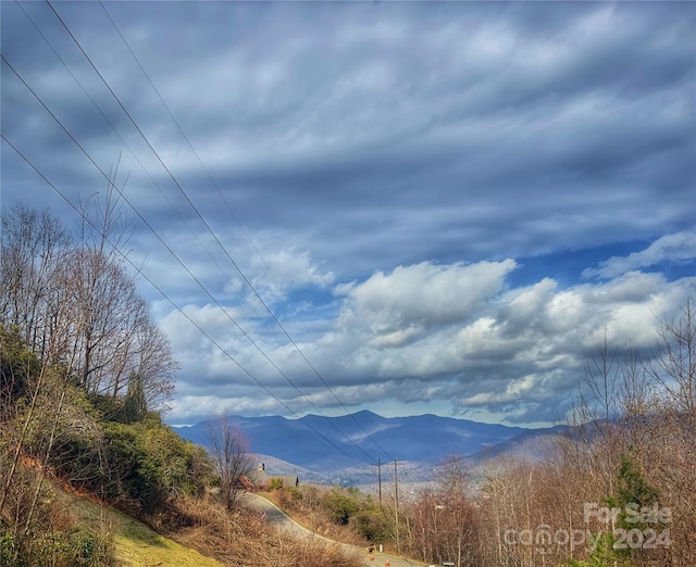 21 Crockett Ridge Rd, Black Mountain NC, 28711 land for sale