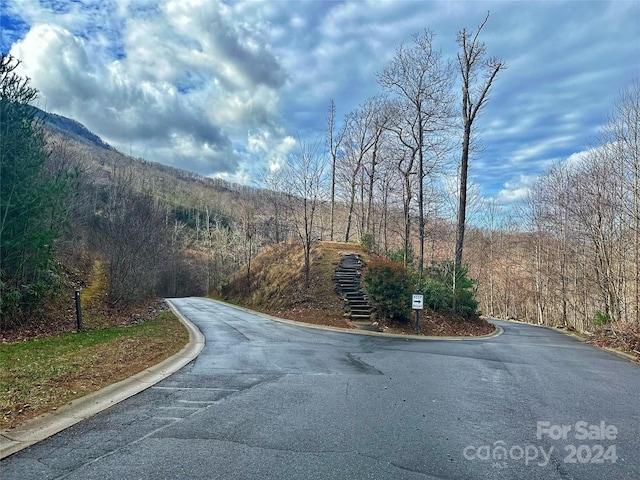 21 Crockett Ridge Rd, Black Mountain, NC 28711 - photo 4