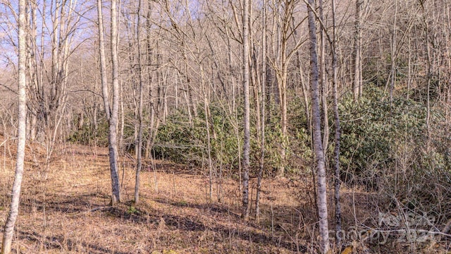 00 Culvin Creek Rd, Marshall NC, 28753 land for sale