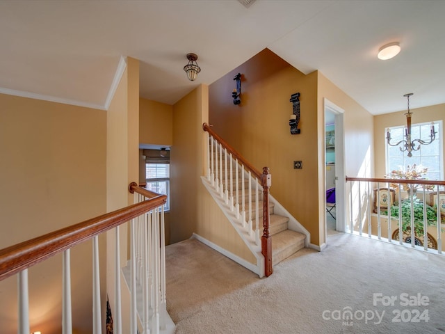 staircase featuring carpet floors, crown molding, and an inviting chandelier