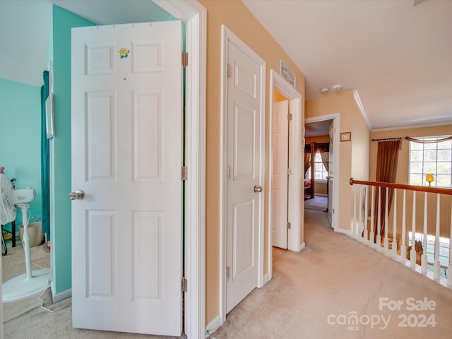 hallway with light colored carpet