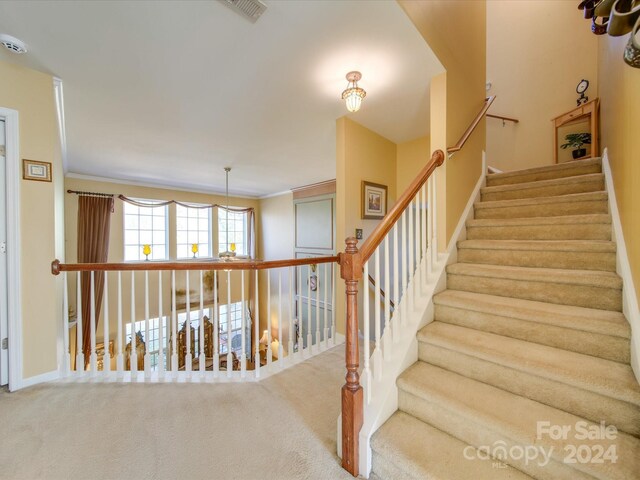 stairway featuring crown molding and carpet