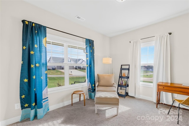 living area with carpet flooring and plenty of natural light