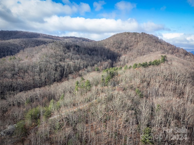 property view of mountains