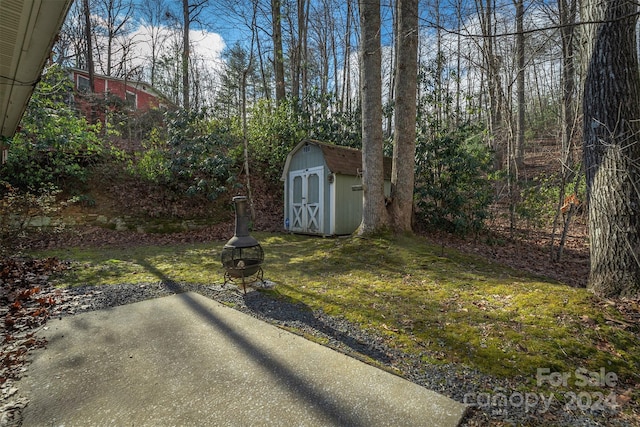 view of yard with a patio and a storage shed