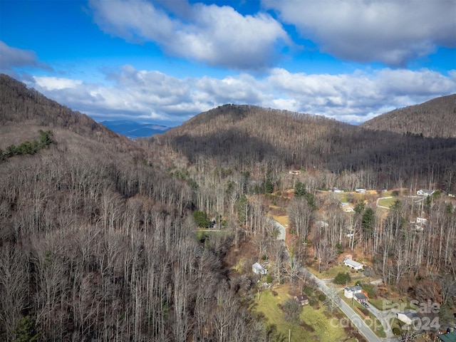 view of mountain feature