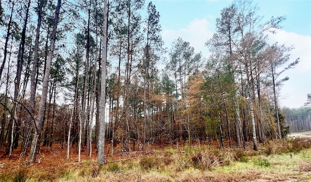 8090 Gulf Creek Rd Unit 5-6, Lancaster SC, 29720 land for sale