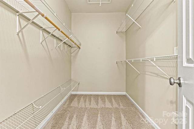 spacious closet with carpet flooring