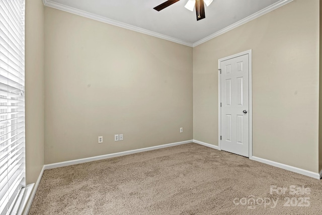 unfurnished room with ornamental molding, ceiling fan, and carpet flooring