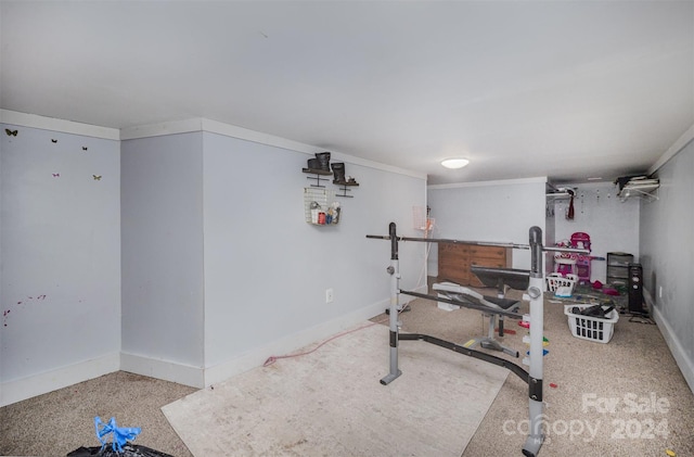 workout room featuring carpet flooring