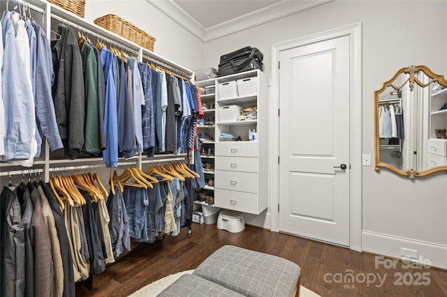 walk in closet featuring wood finished floors