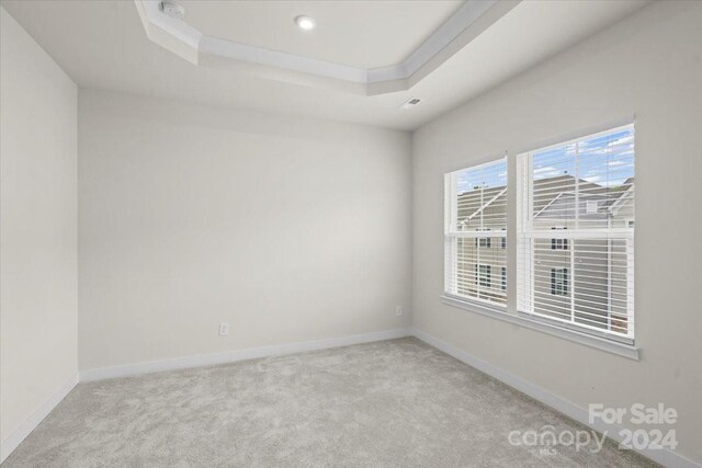 carpeted spare room with a raised ceiling