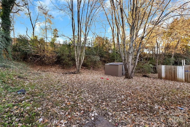 view of yard featuring a storage shed