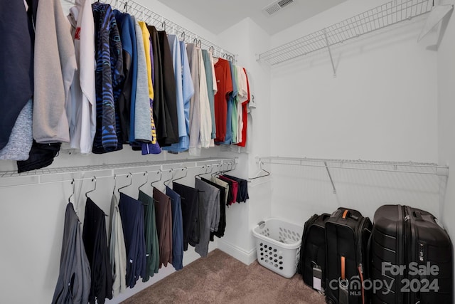 spacious closet with carpet