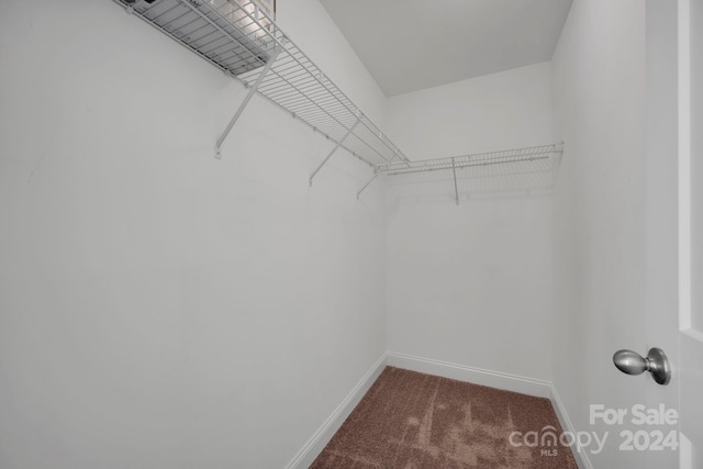 spacious closet with carpet floors