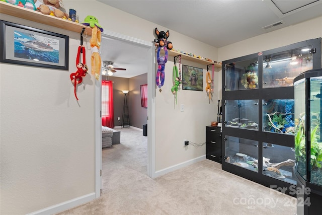 222 February Ln, Waynesville, NC 28785 - photo 19