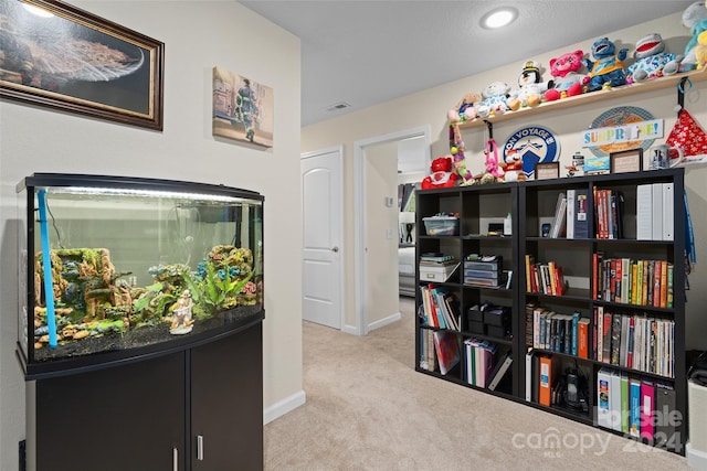222 February Ln, Waynesville, NC 28785 - photo 20