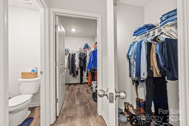 walk in closet with hardwood / wood-style floors