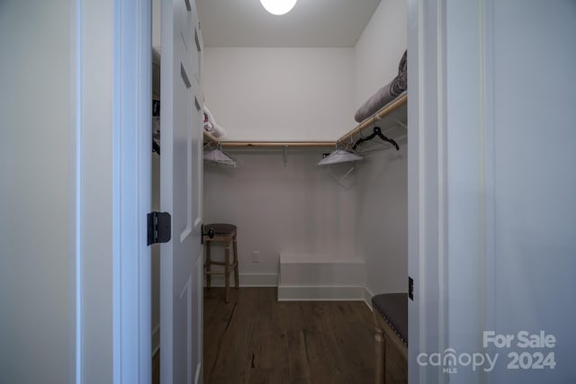 walk in closet featuring dark hardwood / wood-style floors