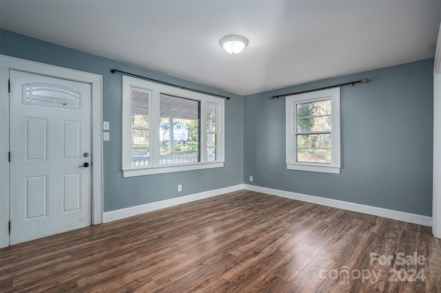 foyer entrance featuring dark wood-type flooring